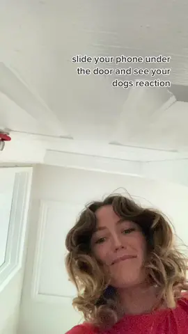 slide your phone under the door and see your dogs reaction: Dolly Edition #dogsoftiktok #dogvideos #puppy