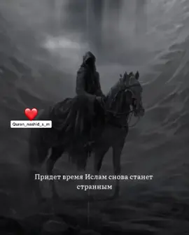 #Quran_nashid_s_m #БойтесьАллаха #Аллахвелик #quran #Го1500 #Насуже1000 #топпп #яхочувтоп #врек2021 #верьвсебяивсеполучится #inshaAllah #питер #да_