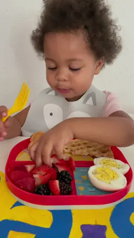 Using a fork 101 #kymmibear #breakfast #messyhair #babygirl #asmr #fypシ #smartbaby #funnyyyy #viral #eggs #starwberry #waffles #classisinsesson