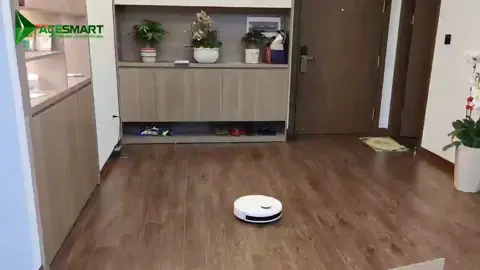 Robot hút bụi lau nhà Deebot