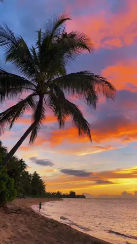#hawaii
