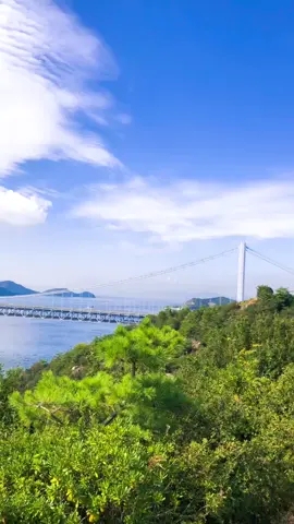 Cầu seto ..cảnh vô cùng đẹp ..Phù hợp cho mấy bạn sống ảo nha..lên đỉnh núi nhìn vào quát hết luôn #okayama #causeto