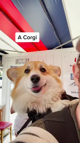 🏖 #BombPopAwards #PrimeDayDealsDance #corgisoftiktok #beach
