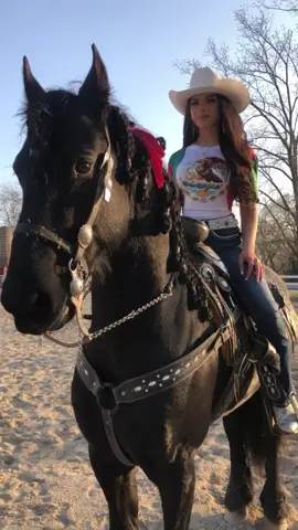 draft 🇲🇽❤️ #fyp #parati #viral #mexico #vaquera #mexican #caballos #horses #cowgirl #angelinavictoria