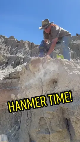 Jackhammer time! #paleontology #cretaceous #hellcreek