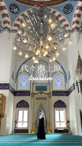 息を呑む美しさってこの事…🥲🦋　#旅行vlog #絶景 #代々木上原 #東京観光 #モスク