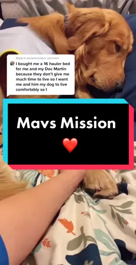 Reply to @darlenenicely Thank you for being my inspiration behind this, Darlene. Keep fighting hard ❤️ #MavsMission #supportteam #amazonwishlist #fyp