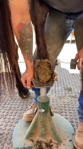 Does this hurt them?!