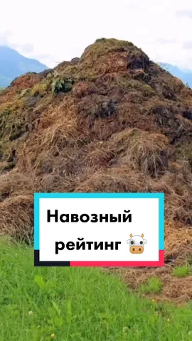 Навоз 💩 #сад #навоз #саддлядуши #лето2021 #рейтинг