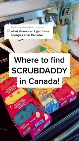 Reply to @newfiechick69 & For my US babes there’s a @scrubdaddy link in my bio with a discount code💗🧽 #scrubdaddy #canadian #CleanTok