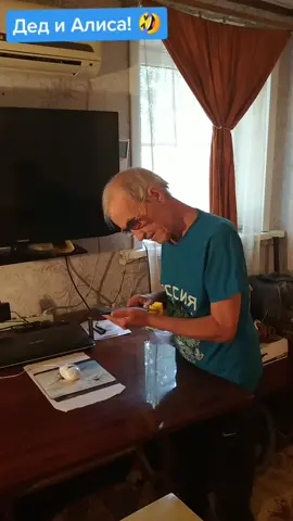 Да, Алиса ты мила, до психушки довела! 🤣 #дедака #алисаяндекс #шуткиюмор