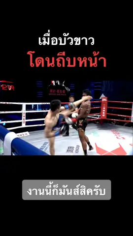 รับชมคลิปเต็มได้ที่ช่องยูทูป อัพเดทคลิปมันส์มันส์ๆทุกวัน#มวย #มวยไทย #boxing #บัวขาว #บัวขาวบัญชาเมฆ #ยอดมวย #มวยไทย911