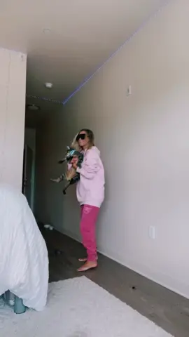 No cats were harmed in the making of this