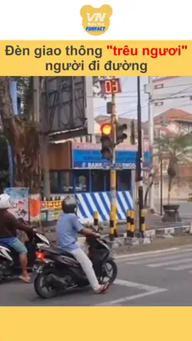Giờ đến cả đèn giao thông cũng cà khịa được nữa #vnnn #vnnnfunfact #tiktoknews #onhavanvui #onhaxemtin #funny #hài