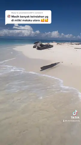 Reply to @yesshabirend87  Ini salah satu keindahan alam lainnya di Maluku Utara - Pulau Morotai 🌴💜 #morotai #morotaidaloha #pasirtimbul #malukuutara