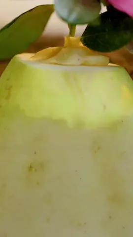 WOW 😮😮 #LearnOnTikTok #TikTokPartner #planttiktok #plantlover #greenhouse #PlantTok #fyp #gardening #fyp #fypシ