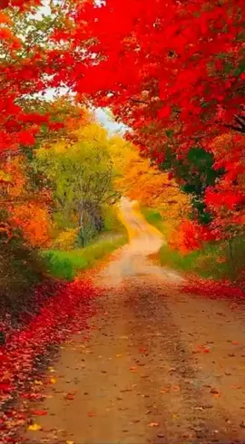 for you page #foryou #foryou #foryou #foryou #foryou #foryou #foryou