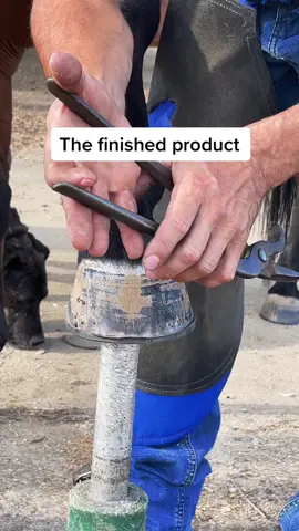 #farriersoftiktok #odlysatisfyingvideos #farrier #odlysatisfying #farriersontiktok #asmr #horsetok #odlysatasfying #fyp #fypシ #foryou