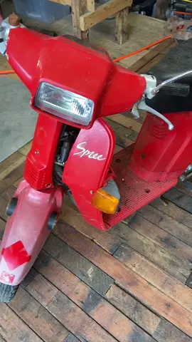 WHAT IN TARNATION. #savethespiders #patina #moped #honda #spree