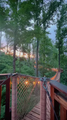 This is your sign to visit Anakeesta in Gatlinburg, Tennessee✨ #anakeesta #gatlinburg #treetopwalk #travel #TakisTransformation #SimlishSessions