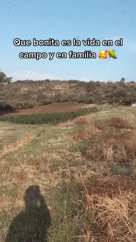 ¿Que más se le puede pedir a esta vida? 🥰✨ #vidadecampo #vidaderancho #vidaenelcampo #ranchocheck #guanajuato #yavieneamaneciendo