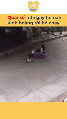 Vì say sữa nên không làm chủ được tốc độ của mình nên nữ quái xế đã gây tai nạn #tiktoknews #vnnnfunfact #vnnn #onhavanvui #onhaxemtin #foryoupage