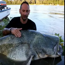 Big Mama #fishing #catfish #YuriGrisendi