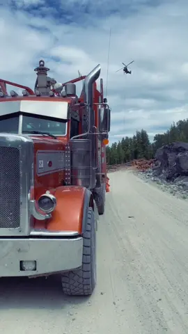 Load delivered via helicopter.  #helilogging #bclogging #trucker #loghauler