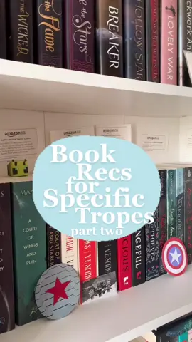 #BookTok #booklovers #booktropes #bookswithrosez #bookfyp #reading #rec #bookrec #tropes #yabooktok #fantasybooks #romancebooks #reader #bookclub