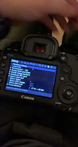 Magic Lantern firmware on 5D Mark iii, first menu is the default, second is ML