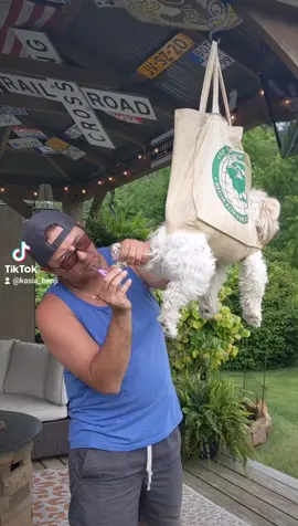 he really enjoyed it.. did not take longer than 5 min #ticktokhacks #dogsoftiktok #heisfine #shihtzusoftiktok #dognailclipping #funnydog