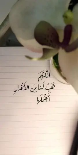 - اللهم هب لنا من الأقدار أجملها 🌧🌱✨