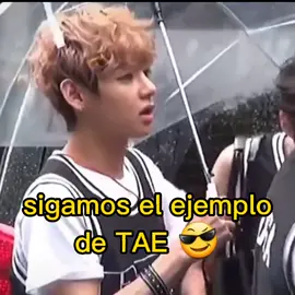 por eso yo digo que hay que seguir el ejemplo de tae #bts_official_bighit #taehyung
