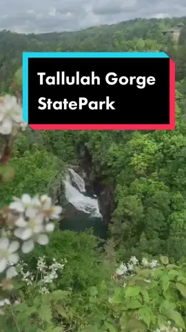 Have you been?  Definitely worth the trip & stairs 😉 #traveltiktok #weekendtrip #roadtrip #naturetiktok #georgia #daytrippin #Summer #tallulahgorge
