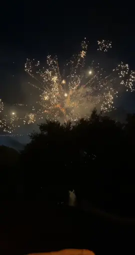 my mom cheering on the neighbors fireworks display 😭😭 #fourthofjuly #familytime