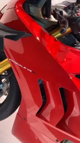 #ducati #ducatipanigalev4s #fypageeeee