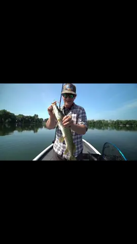 Check out the latest catch and cook video with my buddy Archie!! Link is in the bio #LTAB #fyp #youtube #fishing #Summer #minnesota #fish #lake #cabin