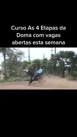 #redeas #caballos #cavalocrioulo #vaquejada #cavalosminhapaixão #domadores #polo #doma #cavalo#noisedaroca