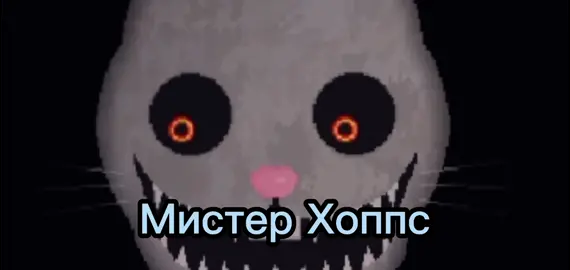 я теперь буду снимать Мистера Хоппса