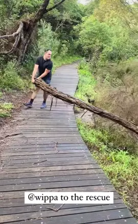 Wippa, it’s time to get back to the studio before you hurt yourself #fitzyandwippa