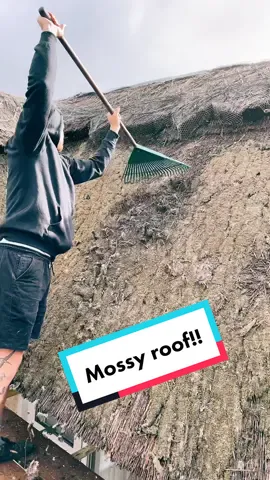 Satisfying moss rake #thethatchingguy #alright #moss #rake #clean #tiktok #fyp #foryou