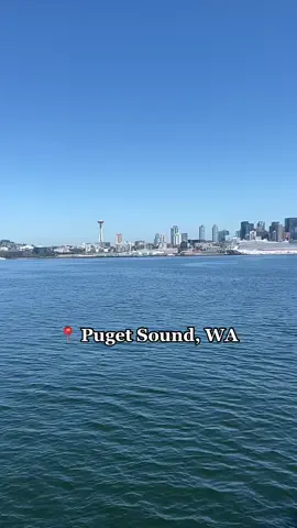 I love you #PugetSound 😍 The #ferryride from #seattle to #bainbridge #island.