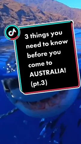 3 things you need to know before you come to AUSTRALIA!! (pt.3) #australia