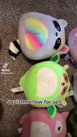 #squishtok #squishsquad #squishmallows #squishmallowfind #squishmallowcollection