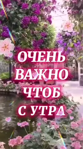 #доброеутродрузья #сдобрымутром #🥰 #июль #лето #☀️