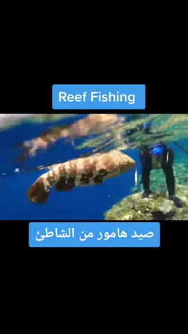 #صيد_السمك #foryoupage #pourtoi #fyp #fypシ #foryou #jeddah #viral