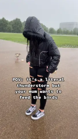 Flash flooding is no match for Brenda 🦢 #fyp #london #englishweather