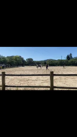 ❤️ #texas #cheval #horse #painthorse #chevalpie #cavaliere