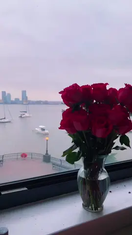 💐💐💐