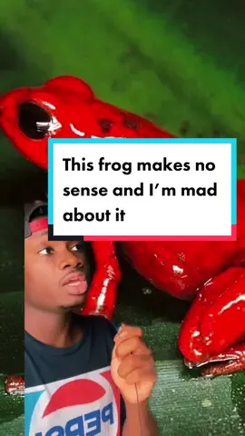 I’d expect this nonsense from Australia #frog#LearnOnTikTok#nature#animals